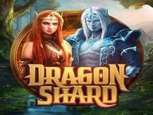 Dragon Shard icon